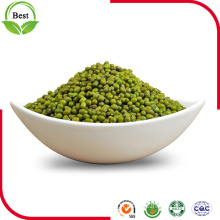 2016 Hot Selling Green Mung Beans